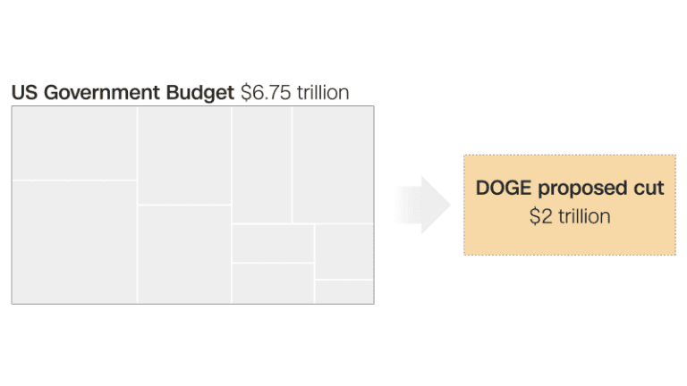 20241224 Doge Card Budget Exlargetease.png