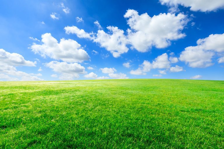 Green Grass And Blue Sky With White Clouds Stockpack Adobe S 252259052 Stockpack Adobe Stock Scaled.jpeg