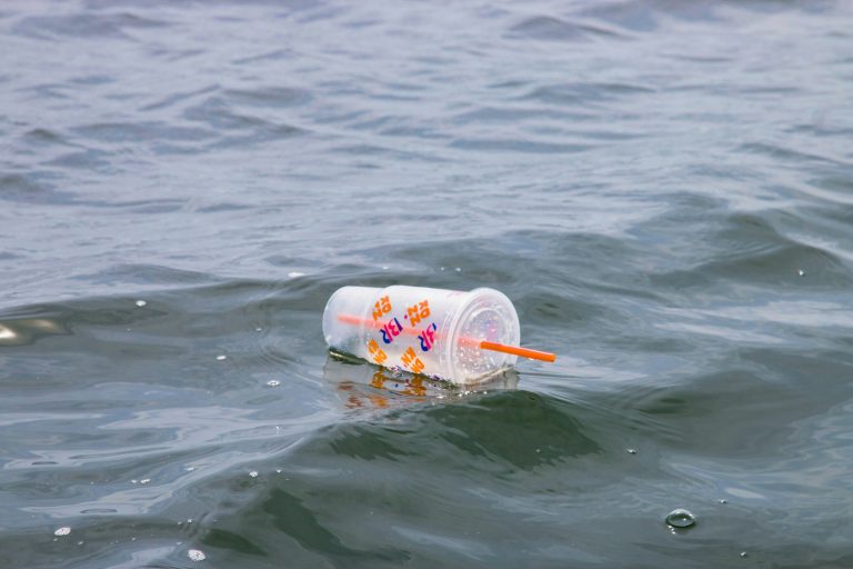 Plastic Pollution.jpg