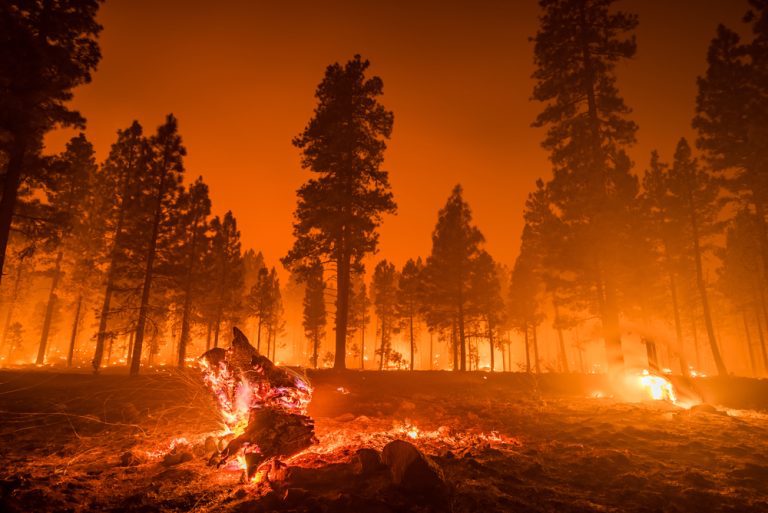 Shutterstock Wildfire Forest Fire.jpg