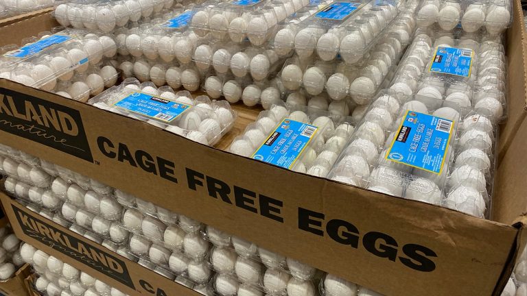 Cage Free Eggs.jpg