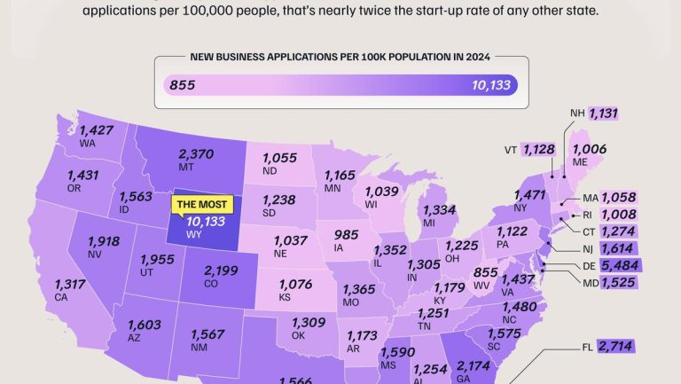 82553940007 02 The Stateswiththe Most New Business Applications.png