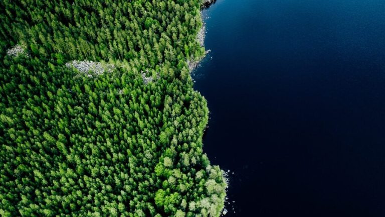 Water Birds Eye View 1024x576.jpg