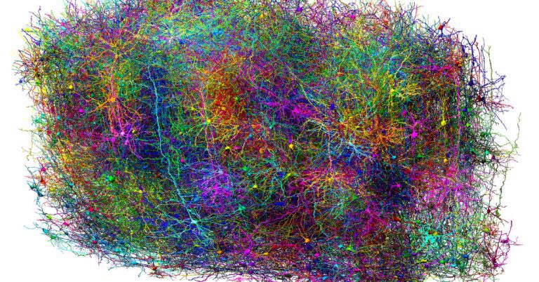 09hs Sci Mousebrain 01 Hmjg Facebookjumbo.jpg