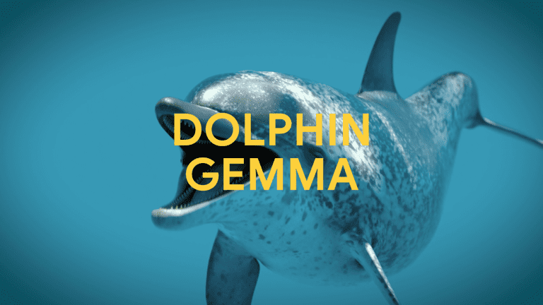 Dolphingemma Socialexplainers 16x9 Dolphingem.width 1300.png