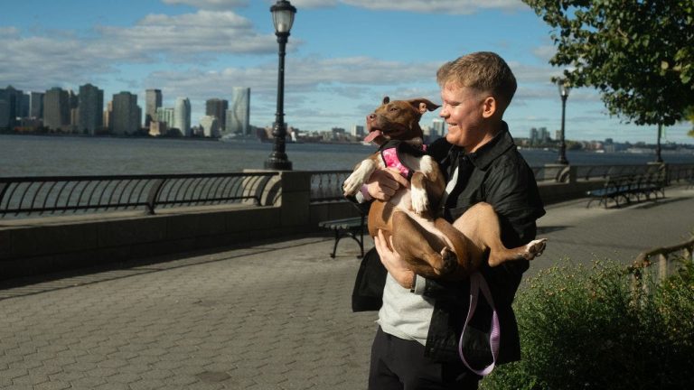 2 Ai Technology Helps Reunite Lost Dogs With Their Owners.jpg