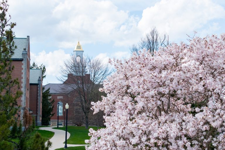 2025 04 22 Campusspringbloomsstorrs 3 Scaled.jpg