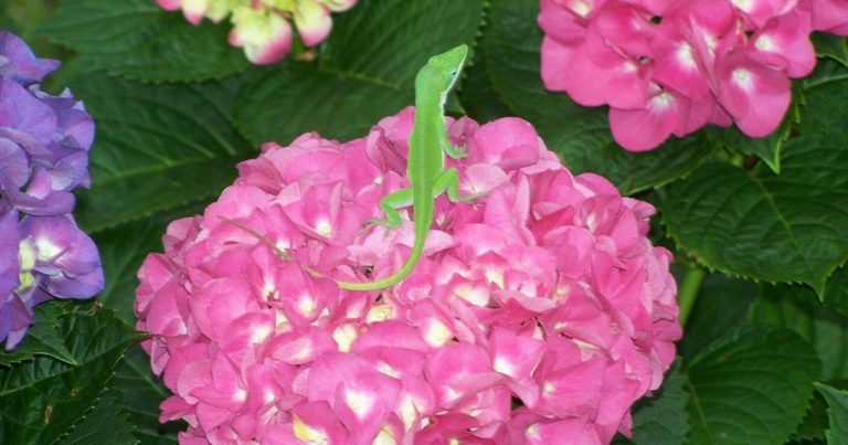 683088df8286e.image .jpg