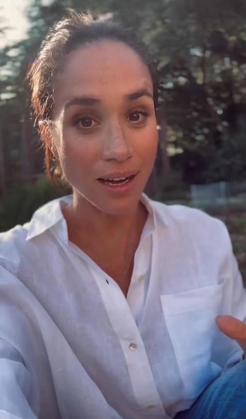 98836987 14758947 Meghan Markle Has Given Fans A Rare Glimpse Of Her And Prince Ha A 113 17484673374.jpeg