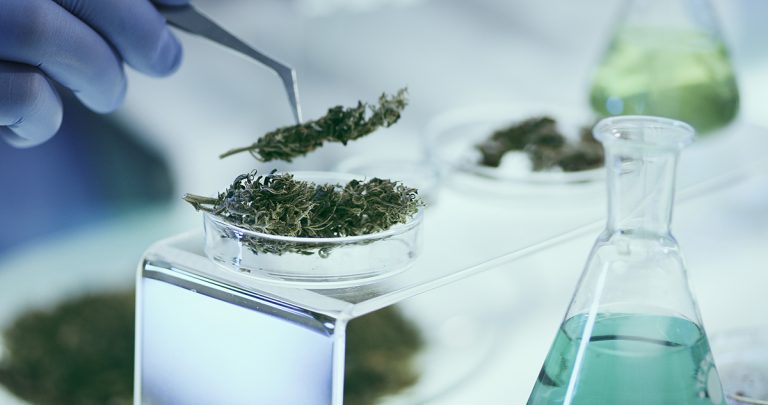 Medical20marijuana Social.jpg
