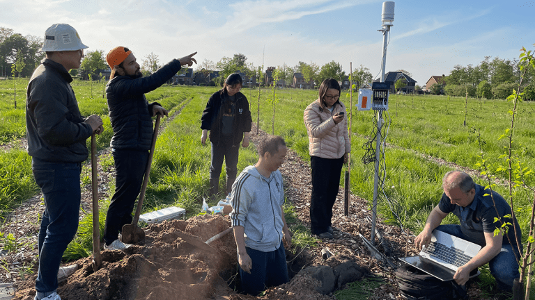 Soil Health Featured Image Final.png