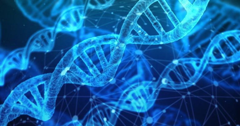 Dna 3539309 1280.jpg