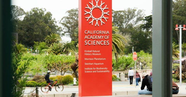Inline1 Calacademycuts 59.jpg