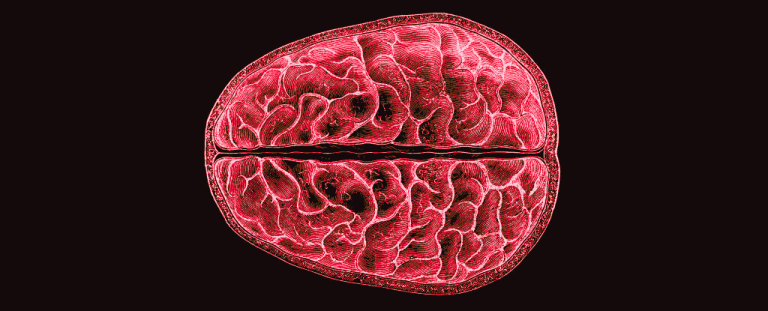 Period Brain3.png