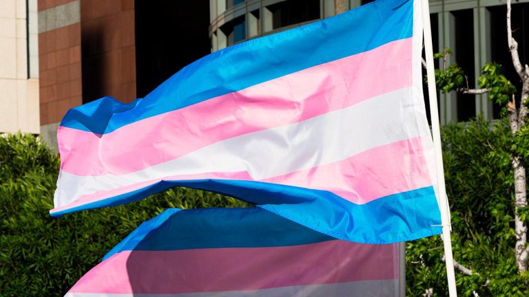 Trans Flag.jpg