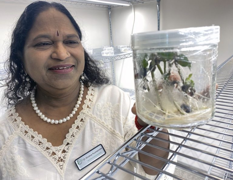 Hzs L Lab 0620 10.jpg