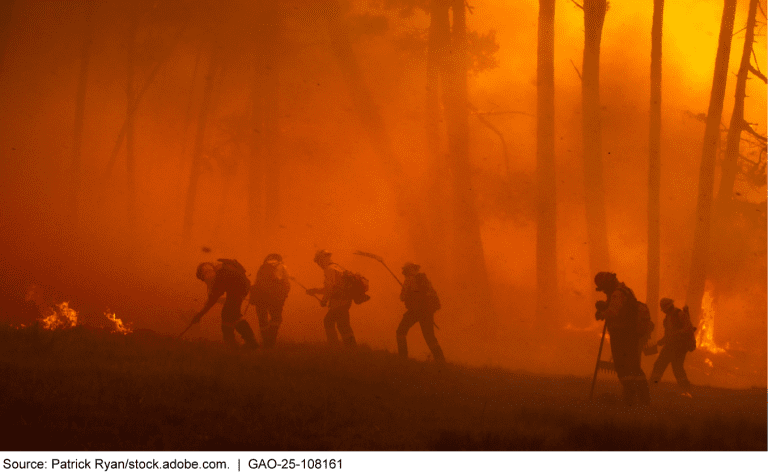 Wildfire20fire20fighters.png