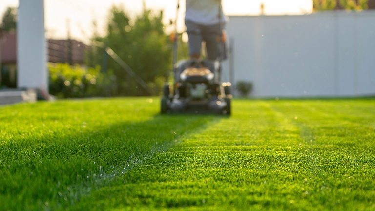 Lawn2.jpg