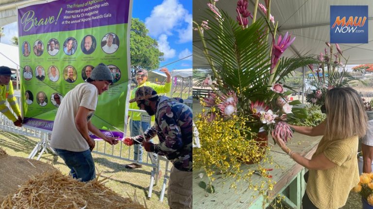 Maui Ag Fest And 4h Livestock Fair 1024x576.jpg