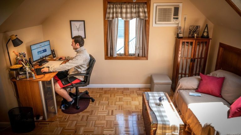 Remote Worker In Us.jpg