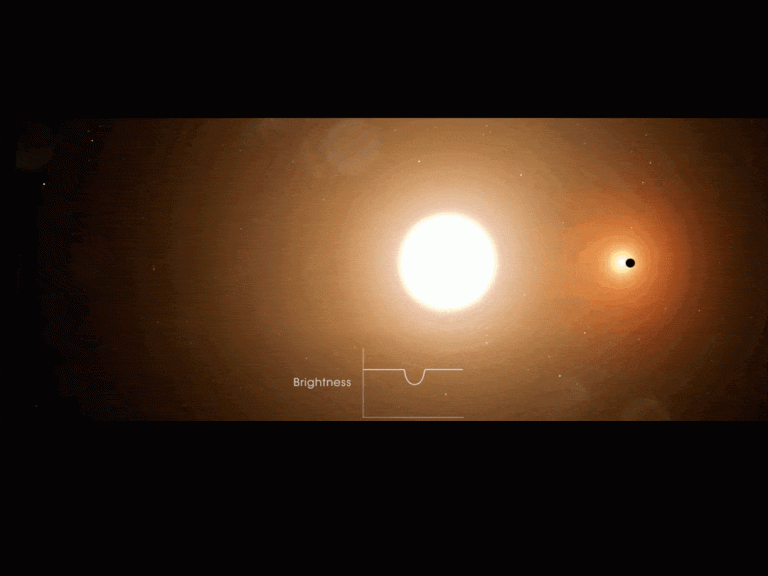 Toi 1338 Optimized.gif